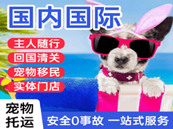 忻州空运国际宠物托运 【国